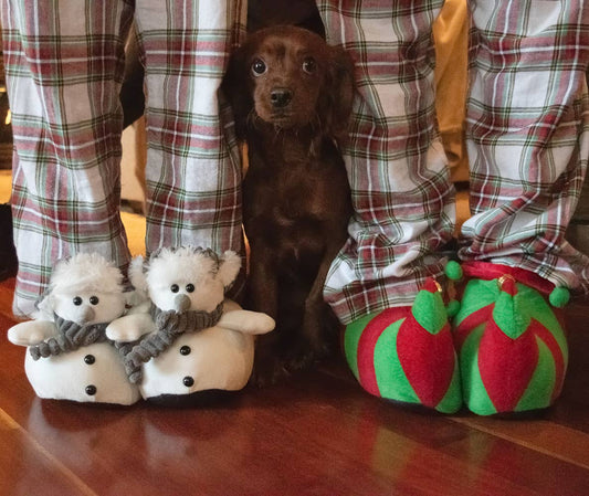 Christmas Slippers